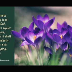 Carol Marshall’s Testimony