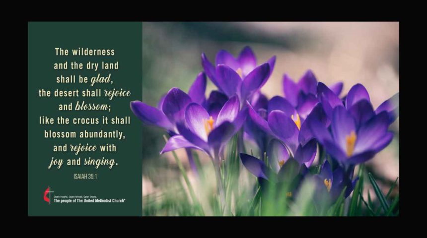 Carol Marshall’s Testimony