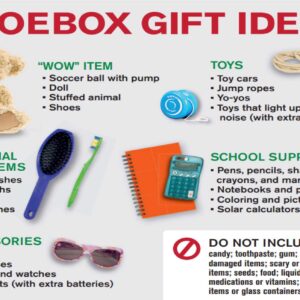 Operation Shoebox