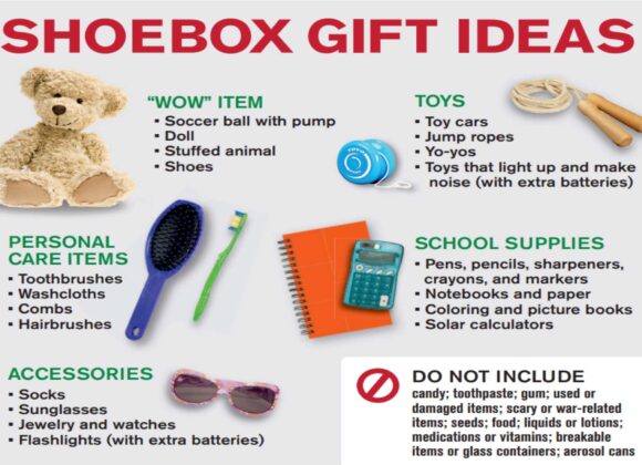 Operation Shoebox