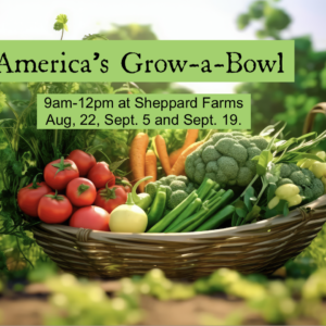 Americas-Grow-a-Bowl