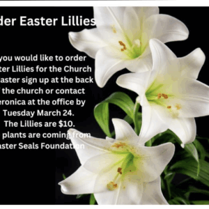 Easter Lilies