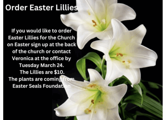 Easter Lilies